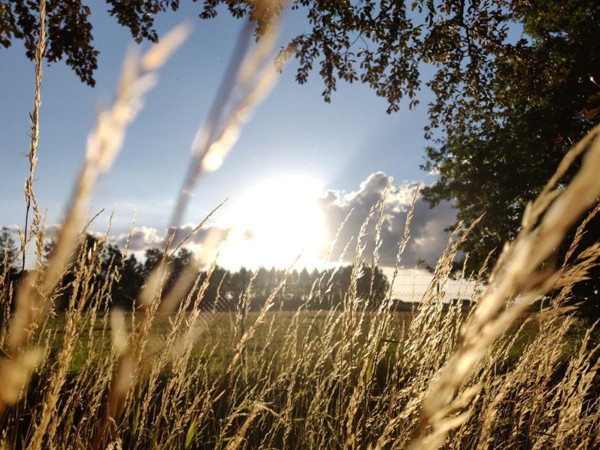 Wuivend Riet Gelegen Op Resort Venetie Giethoorn Zewnętrze zdjęcie